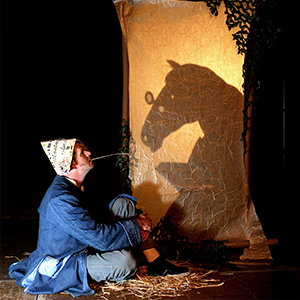Théâtre d'ombre : un personnage et un cheval colorés